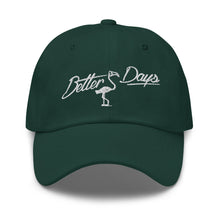 Load image into Gallery viewer, Better Days by Some Future Dad Hat